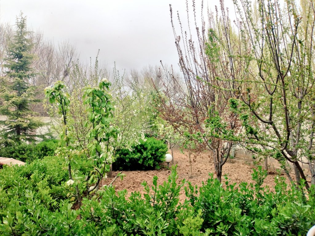 ebrahim_ghasemy's tweet photo. Spring

#بهارِ_ایران https://t.co/YQ0wmypMYR