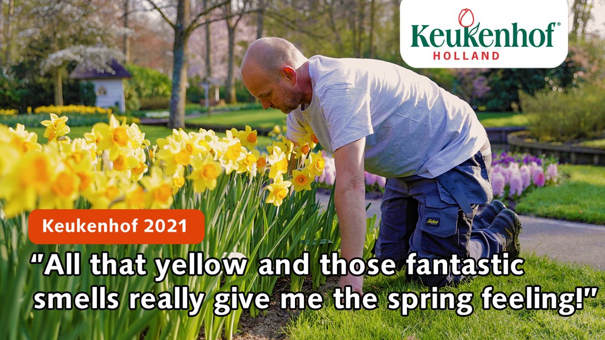 visitkeukenhof's tweet photo. Keukenhof staat vol met prachtige gele hyacinten, tulpen, crocussen en in het bijzonder narcissen. Bekijk nu onze nieuwe video met Tuinman Sander waarin hij je alles vertelt over deze paasbloemen! https://t.co/iIlLgnSkaT https://t.co/DjphSkdfwc