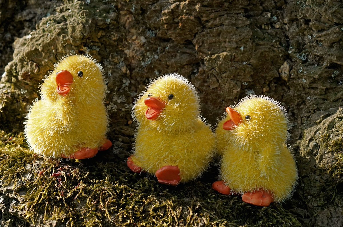 SphereConnectUK tweet media