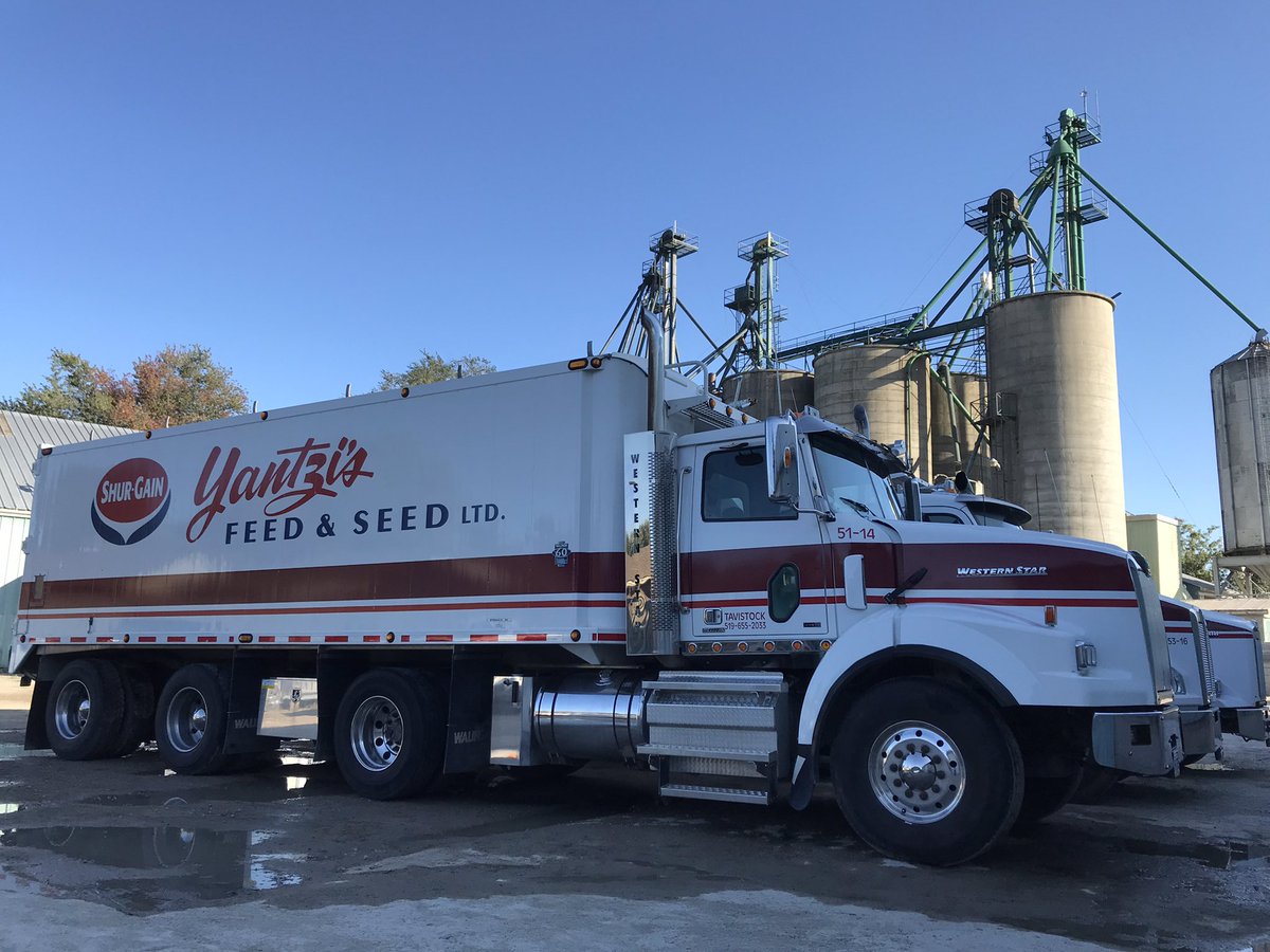 Ryan Yantzi tweet media