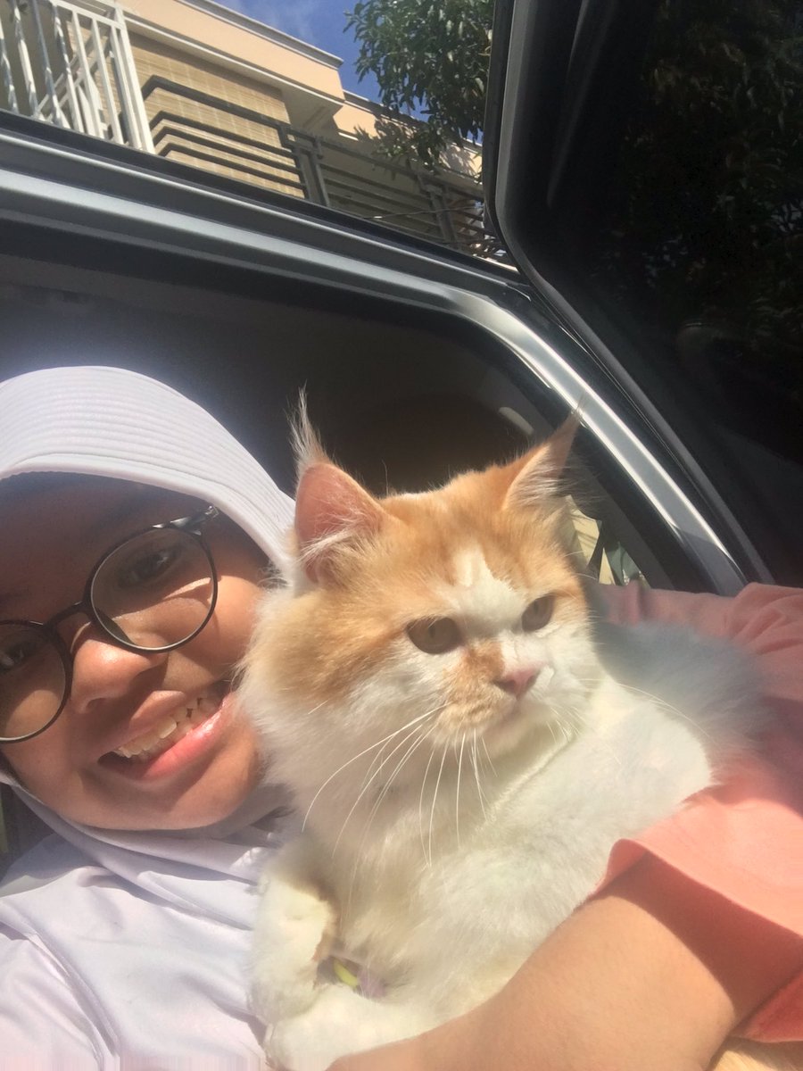 rouuraa's tweet photo. @tanyainrl tujuan hidup ngurus kucing https://t.co/vST0IE80b5