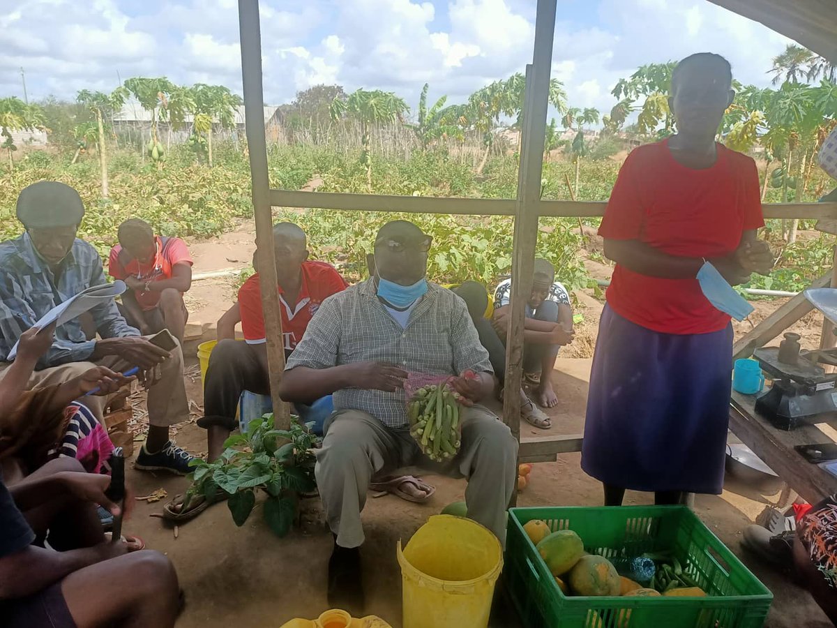 ManyattaYouth_m's tweet photo. This week accompanied by a delegation from our partner @CICCTrust, we paid a courtesy call to Hekima Self Help groups farm for evaluation and learning. The group has seen wealth in Agri-business. Now they sustain their members financially while providing food for their families. https://t.co/JdKAFtq2ew