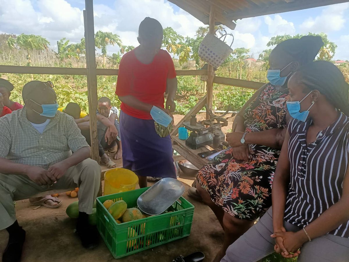 ManyattaYouth_m's tweet photo. This week accompanied by a delegation from our partner @CICCTrust, we paid a courtesy call to Hekima Self Help groups farm for evaluation and learning. The group has seen wealth in Agri-business. Now they sustain their members financially while providing food for their families. https://t.co/JdKAFtq2ew
