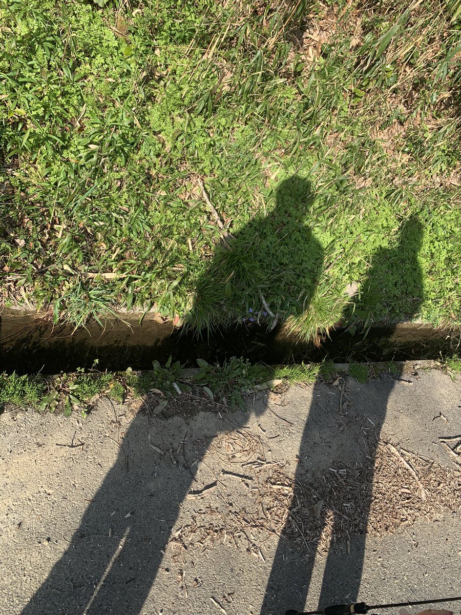 Ck02Kou's tweet photo. 春の大和川で釣りを
楽しみました〜w
これ��動画にしてまーす。
よかったらどうぞ！w

チャンネル登録よろしくお願い🥺🥺

#大和川 https://t.co/7MigTRNzZJ