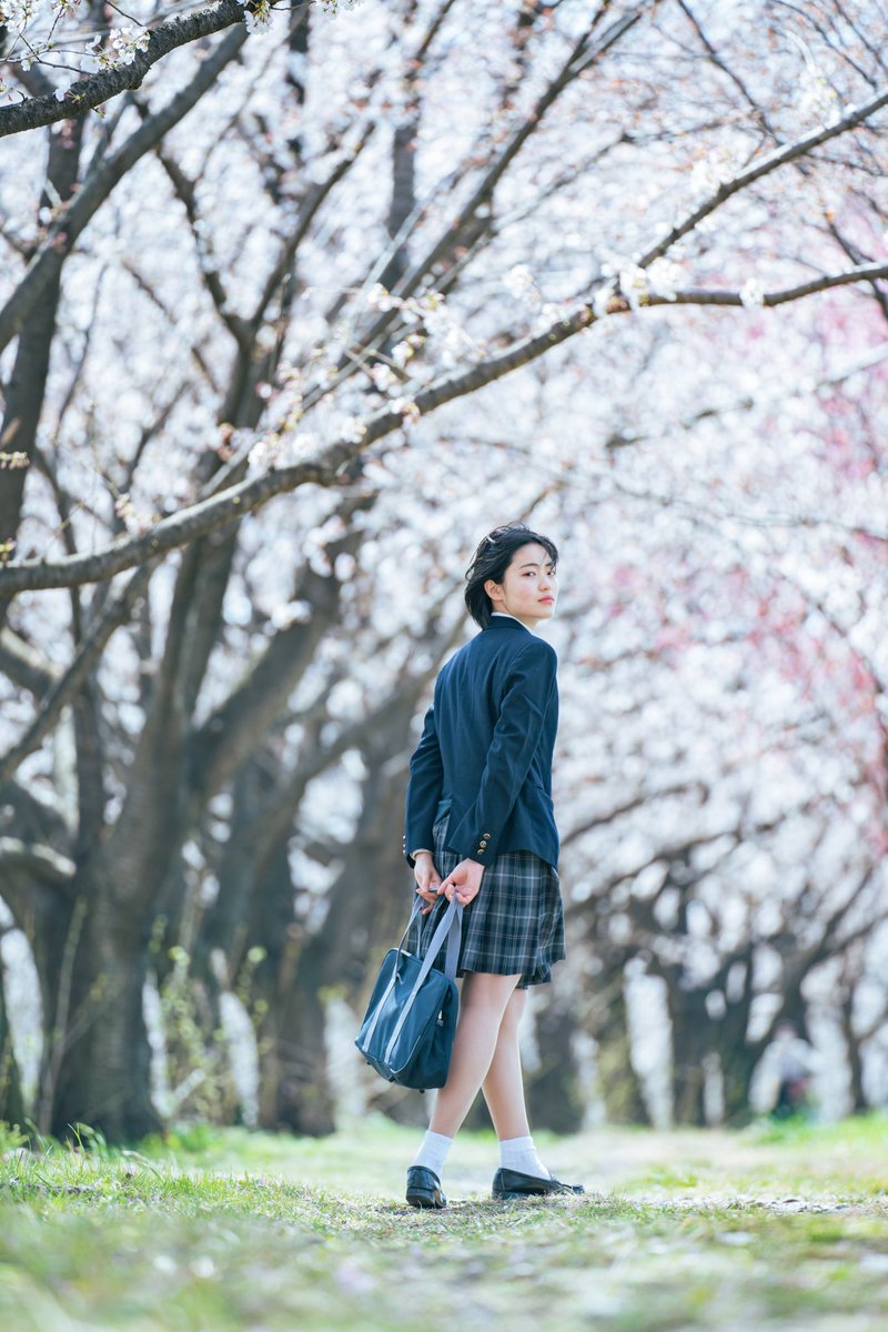 kota_t3's tweet photo. 桜の時×ゆうきさん
(@Zj2KL48Ql0267qb)
🌸
#美マージュ撮影会
#リク撮 #制服 
#ポートレート https://t.co/l9s1SFWz7u