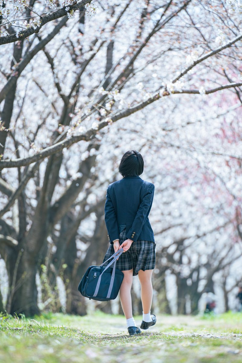 kota_t3's tweet photo. 桜の時×ゆうきさん
(@Zj2KL48Ql0267qb)
🌸
#美マージュ撮影会
#リク撮 #制服 
#ポートレート https://t.co/l9s1SFWz7u