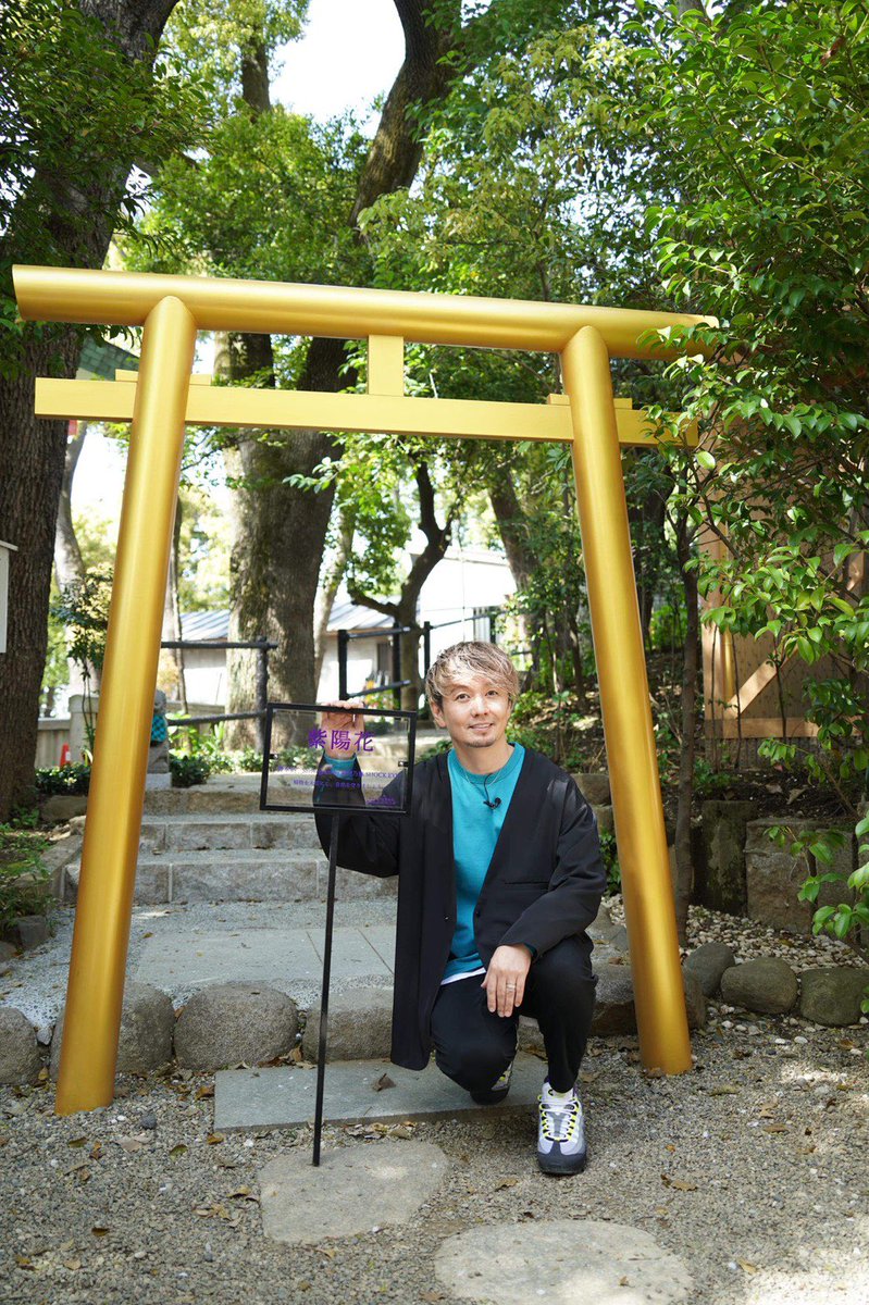 Shrinegram Twitter Search Shrinegram Twitter Search