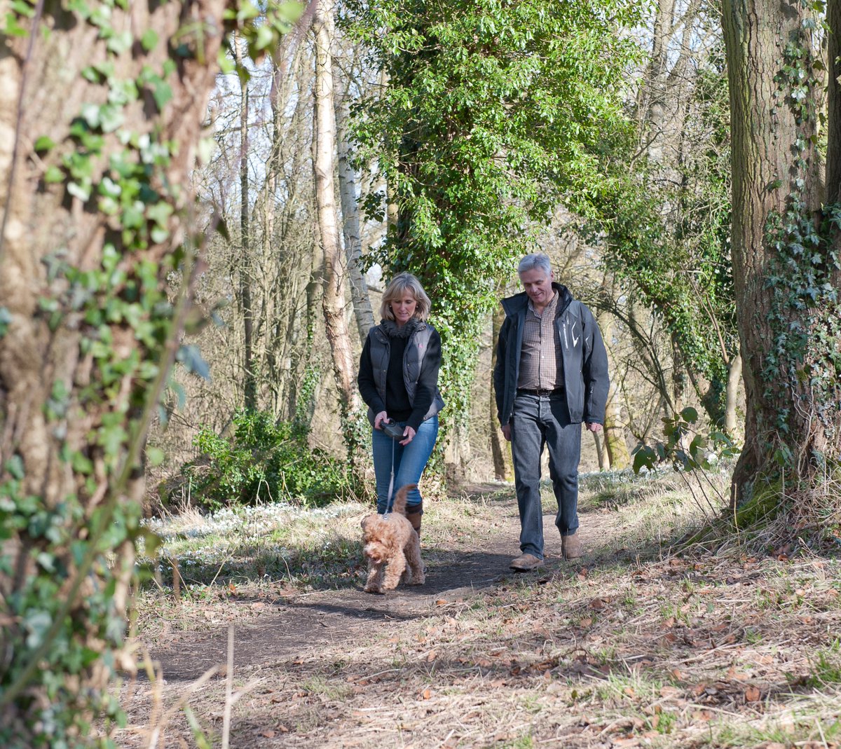 Looking for inspiration to get outside this Easter? Why not find a new walk in the Forest? 🌳 There are miles of paths to explore, so whether you’re looking to wander through ancient woodlands, stroll along a canal path or head out on a hike. 🚶There is something for everyone!
