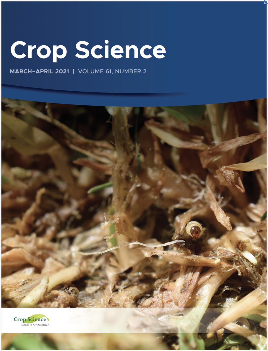 Great work by @KatieHDiehl publishing her work on ABW for Poa annua control AND landing the cover photo of the latest Crop Science. More to come in future publications. Thanks @theEIFG @NJTA_Turfgrass and @GCSANJcharities for funding. acsess.onlinelibrary.wiley.com/doi/10.1002/cs…