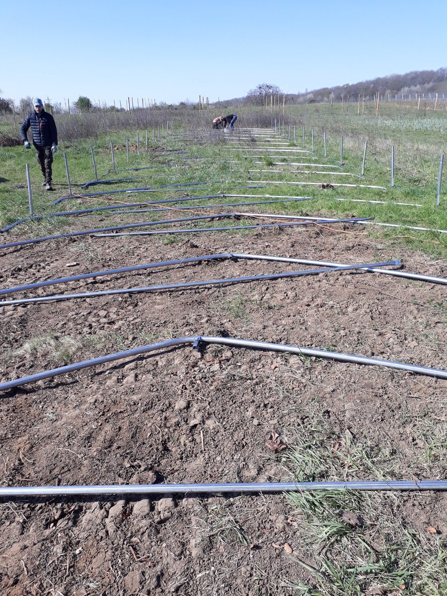 SandersEmmanue1's tweet photo. Chantier montage de serres chez Sauvages et cultivées https://t.co/HH1zLClpMn