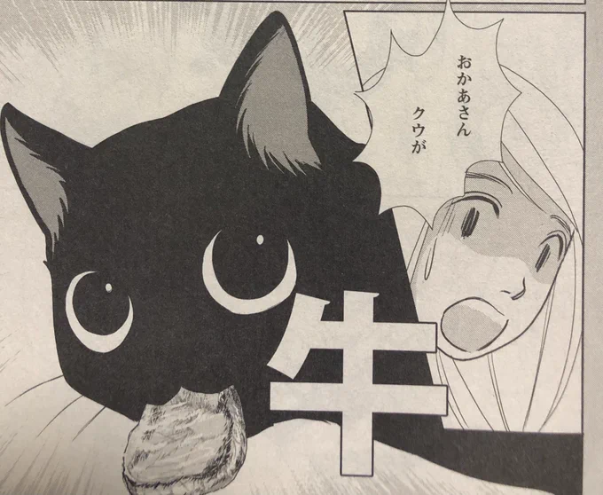 本日発売のjourすてきな主婦たち5月号に「60手前でねこを飼う」第4話が掲載されてます。
なんでも食べちゃうクウが大型台風の夜にとんでもないものを食べてしまう事件が…
ご依頼頂いたのはこの4話までですが、また描く機会があったら嬉しいです。
リクエスト送ってね。
#黒猫クウ 