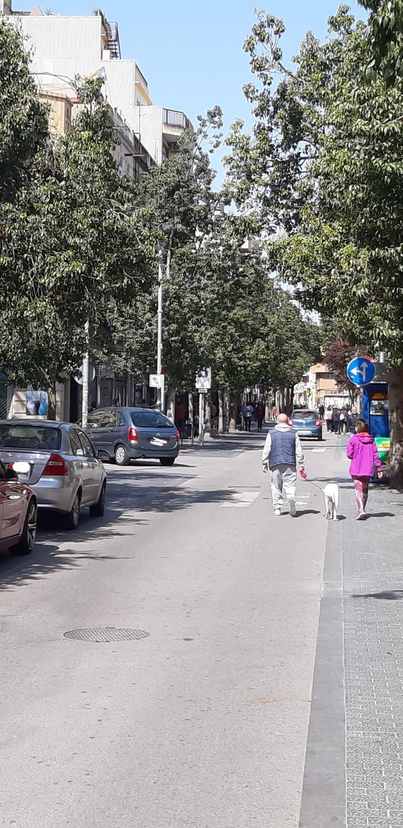 KAPHAs's tweet photo. @AjSantAdria  ¿De que sirve que la av catalunya sea peatonal los festivos si nadie lo respeta?.  Esta mañana en menos de 5 minutos han pasado más de 20 coches... algunos  conductores cuando se lo dices se disculpan y giran. Otros aceleran, insultan... continua. https://t.co/NKE0LDCNTT