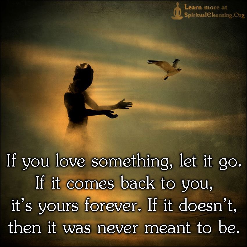 waggandy's tweet photo. @JeremyScott89 @Pyh07a @townbrad Brad, P Ham is pretty torn up about the block last night. I’ll leave you with this picture and quote from Ghandi to see if it will soften your heart. #afanalwaysandforever https://t.co/MXWrsZHL2V
