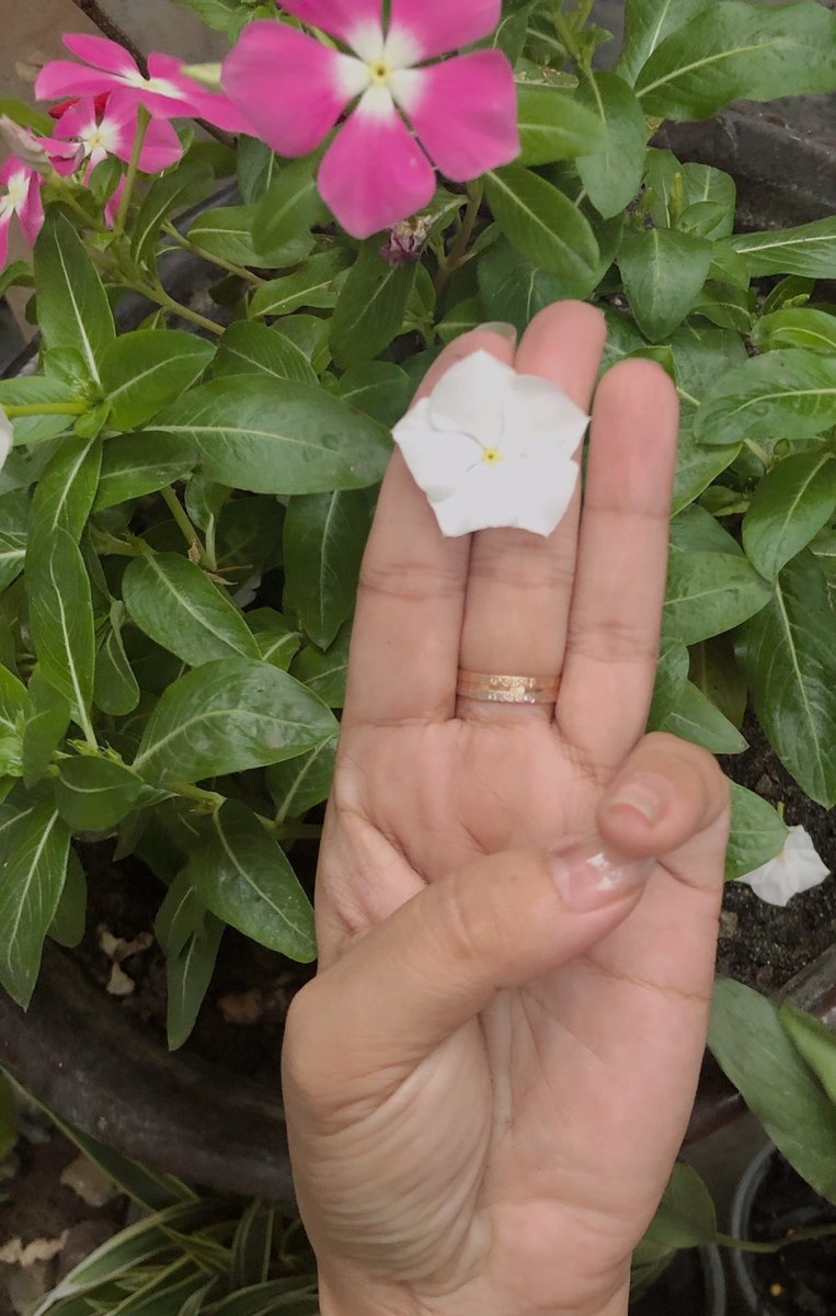 ChitThor's tweet photo. Flower Strike 🌸

#ပြန်မလာနိုင်တော့တယ့်သူရဲကောင်းတွေကိုဘယ်တော့မှမမေ့ဘူး

#ဓမ္မန��့အဓမ္မပြိုင်ရင်ဓမ္မပဲအနိုင်ရရမည်။

#အရေးတော်ပုံအောင်ရမည်။

#FlowerStrikeMyanmar

 #WhatHappeningInMyanmarNow https://t.co/GMePvoZ4RA