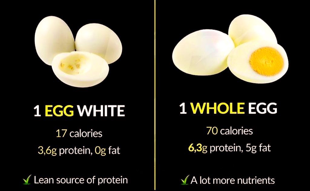 Calories In Egg Whites