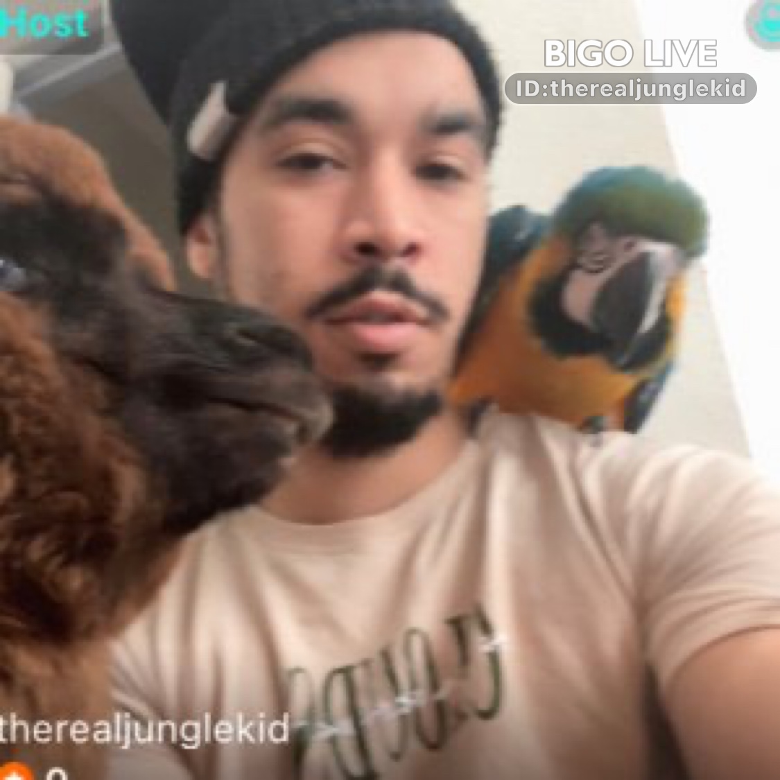 na2fresh's tweet photo. Come and see TheRealJungleKid's LIVE in #BIGOLIVE: Night time in the jungle🦍   https://t.co/3Nneio3wyK
https://t.co/8Rvmb4wsnc https://t.co/eM78qEIJwz