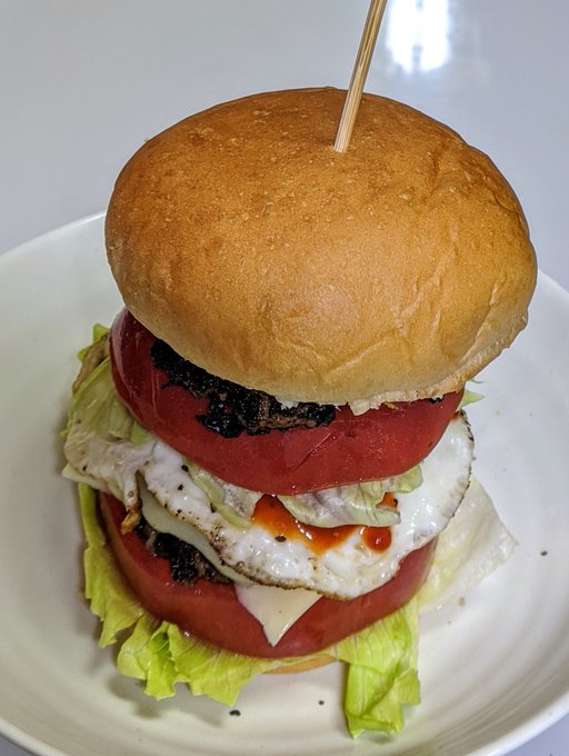 きのうの材料が余ってるので今日もハンバーガーを作る、今回は目玉焼きとピクルスもプラス😊

そしてこちらが無修正の断面図。 