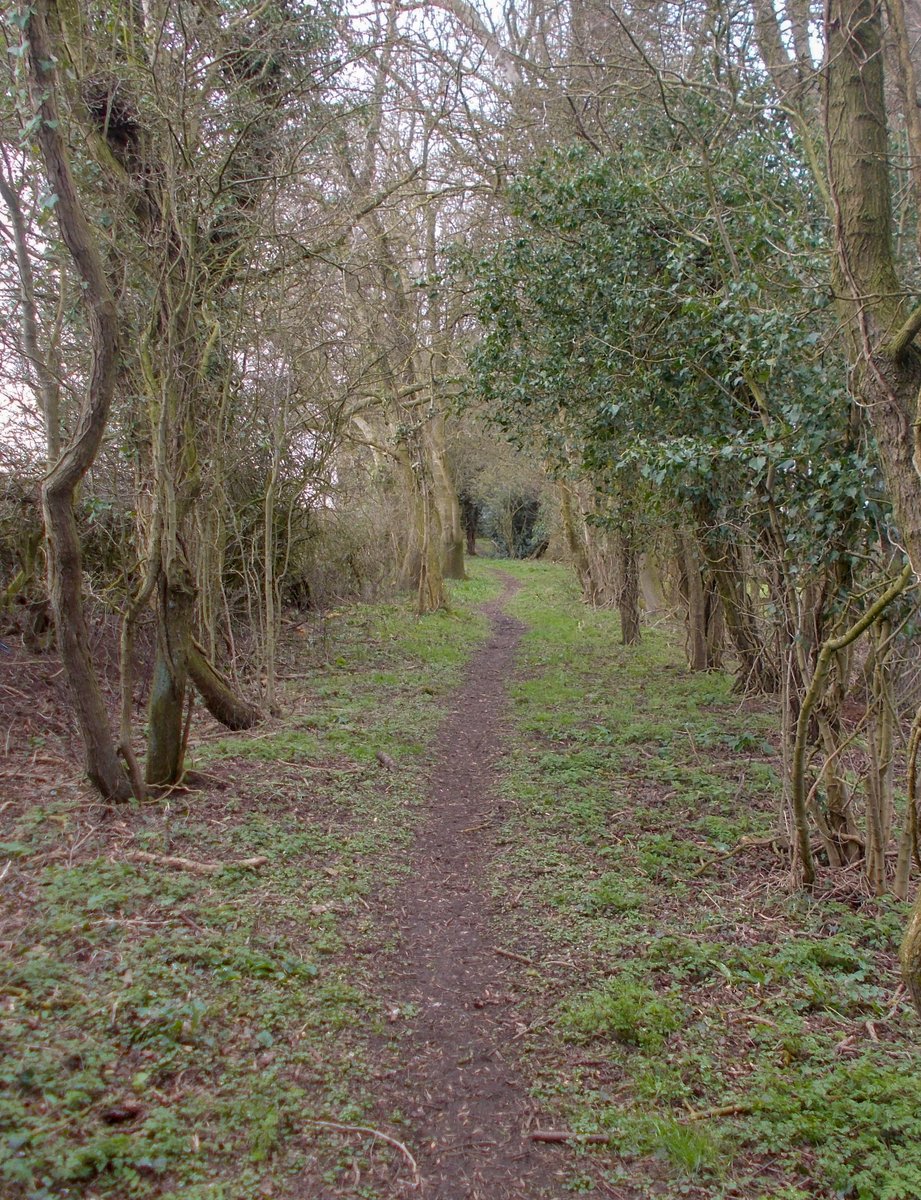 grebo1972's tweet photo. A few photos of todays 13 mile wander from home #BurtonOnTrent #Outwoods #Anslow #Callingwood #Rangemore #TatenhillCommon #Tatenhill #Branston #RiverTrent #Staffordshire #NationalForest https://t.co/ks5InYcjQm