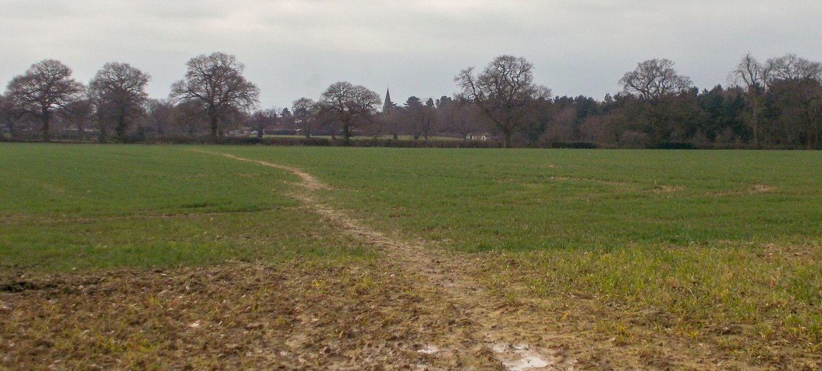 grebo1972's tweet photo. A few photos of todays 13 mile wander from home #BurtonOnTrent #Outwoods #Anslow #Callingwood #Rangemore #TatenhillCommon #Tatenhill #Branston #RiverTrent #Staffordshire #NationalForest https://t.co/ks5InYcjQm