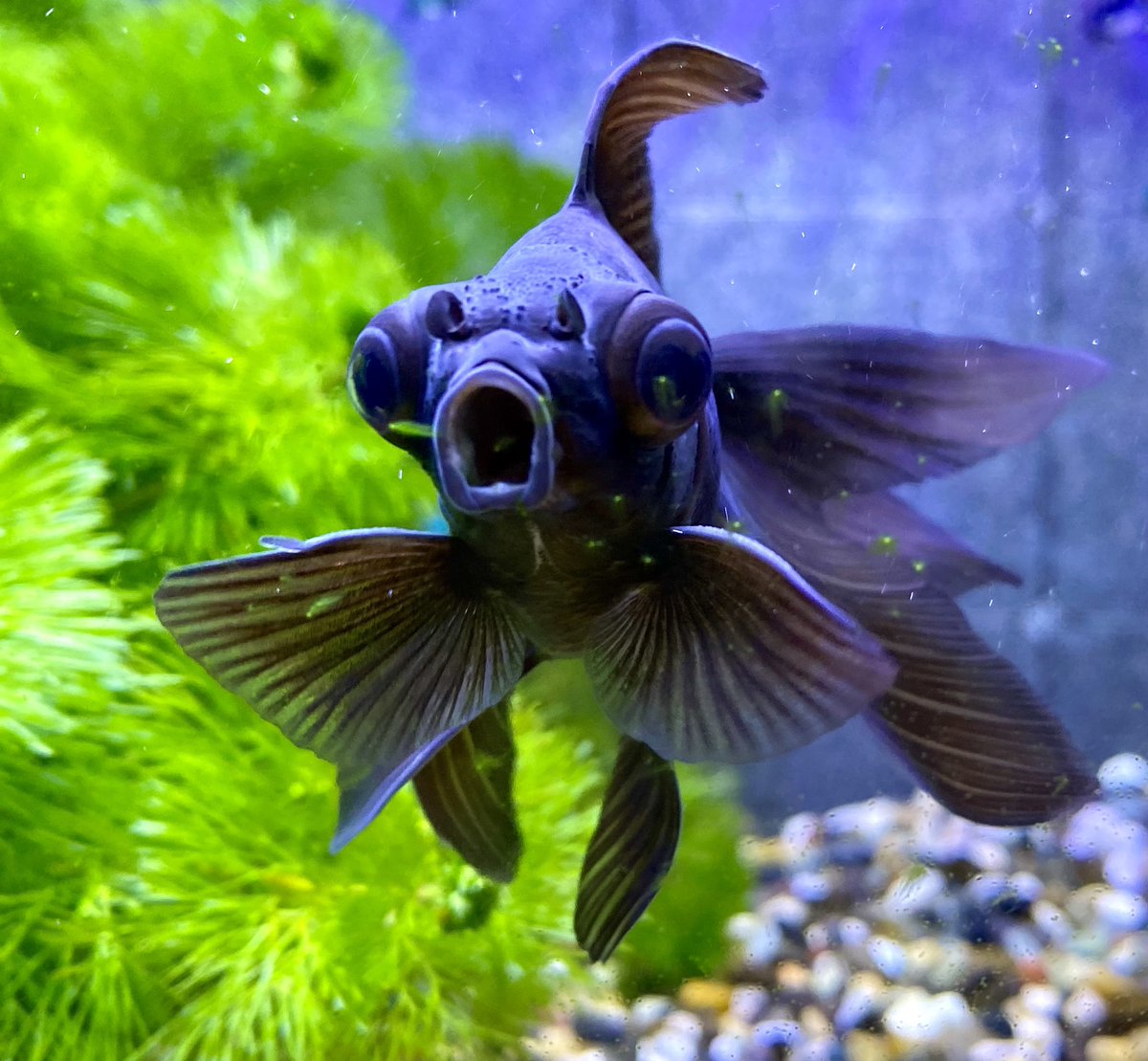 あ行で女子力か行で男子力がわかる Hotワード