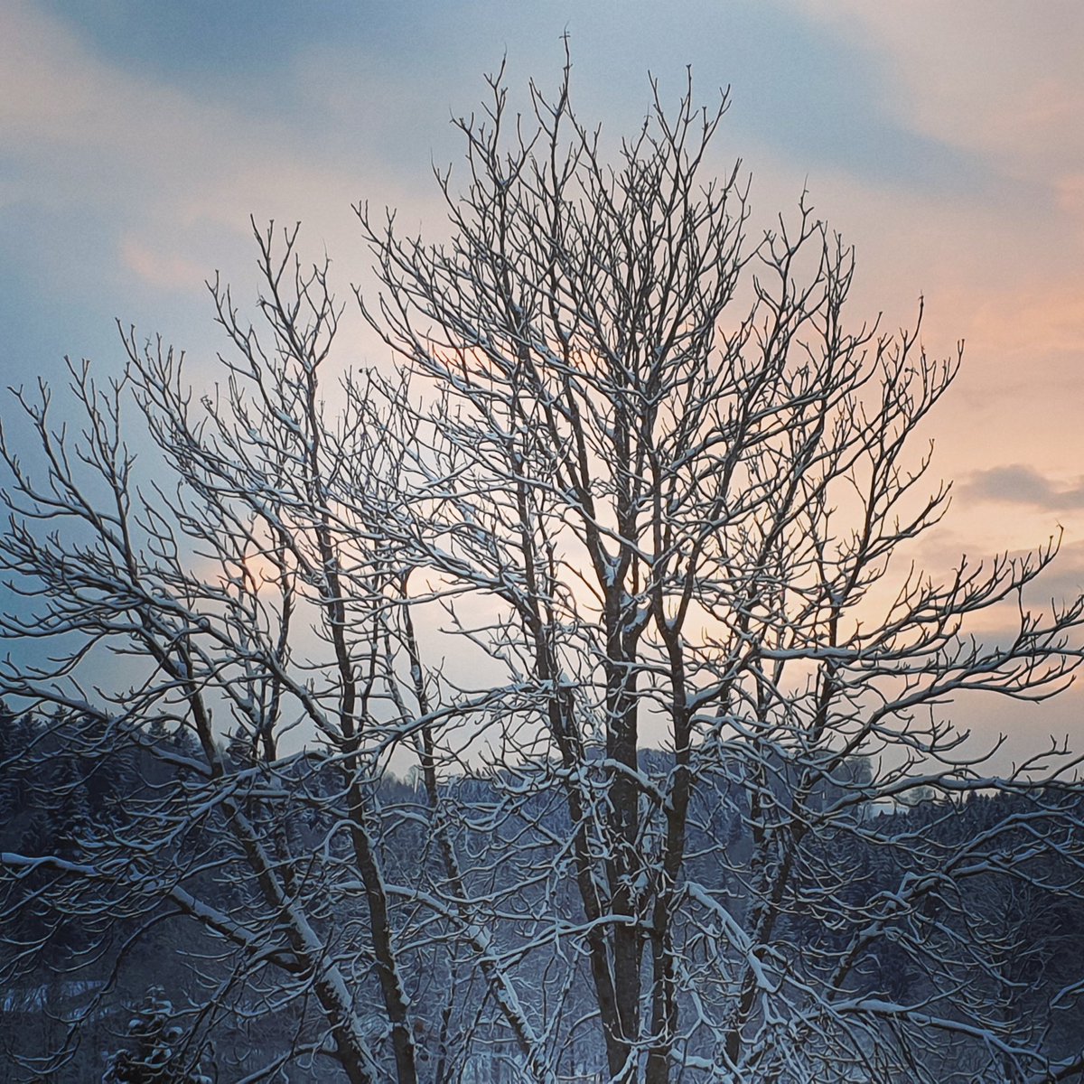 TripsSnap's tweet photo. #nature #naturelovers #NaturePhotography https://t.co/TiGdlJMLmK