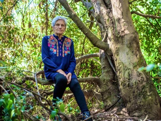 Hoy es el Día Internacional de los Bosques. Todo mi cariño y admiración a su principal defensora: Adriana Hoffmann. El mundo ambiental NO puede dejarla en el olvido. Este país le debe mucho y debiera ser reconocida ¡ahora!  
#DíaInternacionaldelosBosques