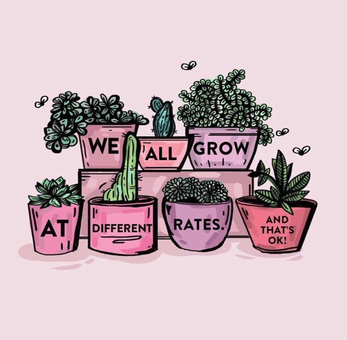 #SelfCareSunday PSA: We all grow at different rates. You don’t need to compare your growth to anyone else’s! “Be patient with yourself, respect your rate of growth, try to give yourself all the warmth &amp; nurture that any other living thing needs to bloom, you deserve that much.”