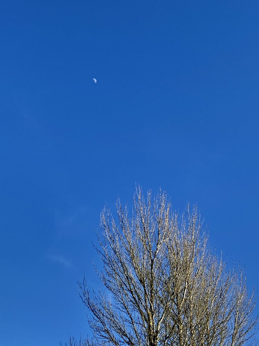 WindyWilson88's tweet photo. Glorious. As forecast. But if you think itβs not a nice day where you are file it under βtuff tittiesβ and ask for your money back . . . oh wait, itβs a FREE service πππ€£
Sunday afternoon 3:30pm
#HatersCanSookMaFatOne #MoonsOut #sundayvibes https://t.co/O40zzjUR9Y
