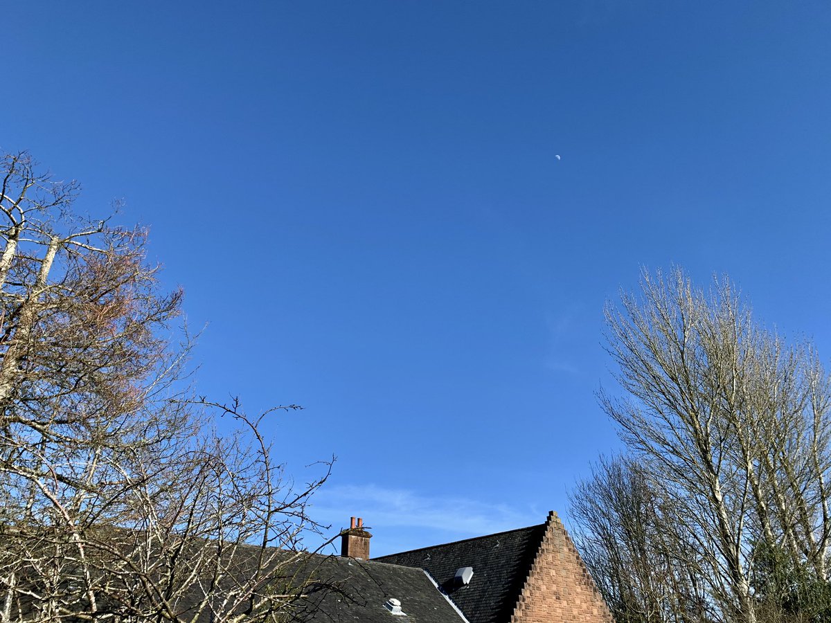 WindyWilson88's tweet photo. Glorious. As forecast. But if you think itβs not a nice day where you are file it under βtuff tittiesβ and ask for your money back . . . oh wait, itβs a FREE service πππ€£
Sunday afternoon 3:30pm
#HatersCanSookMaFatOne #MoonsOut #sundayvibes https://t.co/O40zzjUR9Y