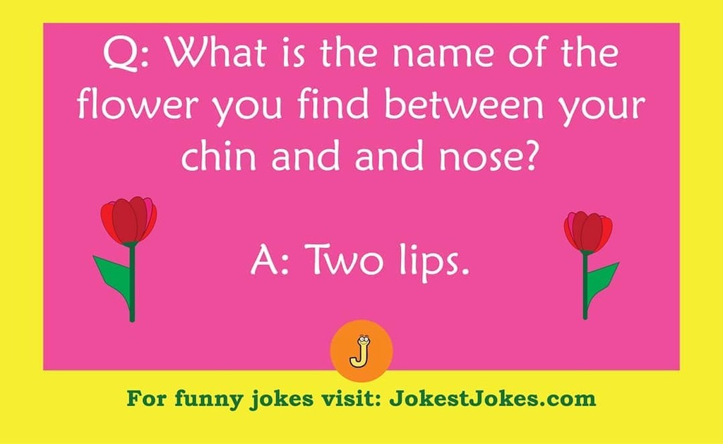 JokestJ's tweet photo. Welcome spring! 🤩
https://t.co/Cusr6bIygJ - click for funny jokes!
#joke #jokes #laugh #puns #lol #humor #fun #funny #spring #Spring2021 #Tulip #Flowers #flower https://t.co/aLjSgfL6Lu