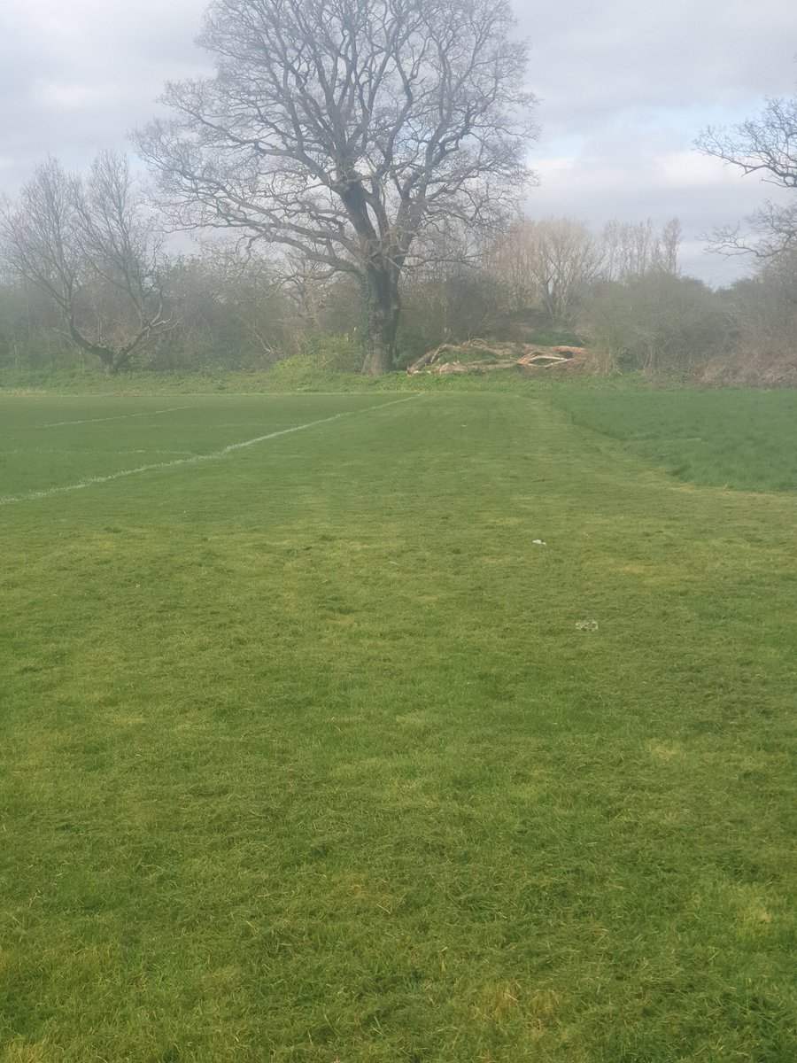 baldonsportsfc's tweet photo. @baldonsportsfc Cutting off pitches today in preperation for the return just me and my mower against the world.πΊ
Got my daily steps in at the same time #bonus
#grassrootsreturn
#teambaldon https://t.co/EkDfRtcb7L