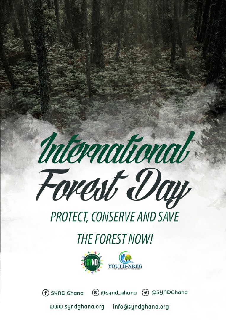 chibeze1's tweet photo. 🌳🍀🌲
#IntlforestDay
#GHUnites4Forest
#SaveGhForests https://t.co/muQTFgWJ1j