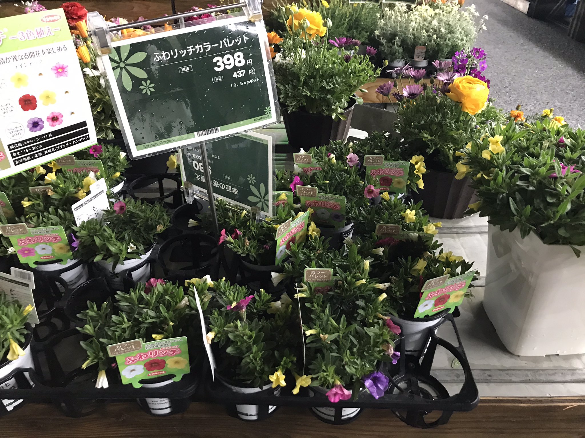 デゴチ 今日はホームセンターの園芸コーナーで花 の苗を見ていたんですが まんがタイムきららに連載されている日常系漫画のタイトル感あふれる名前の花などの中に ジキタリス というどこかで聞いたことあるような名前の苗がありました あれ ジキタリス