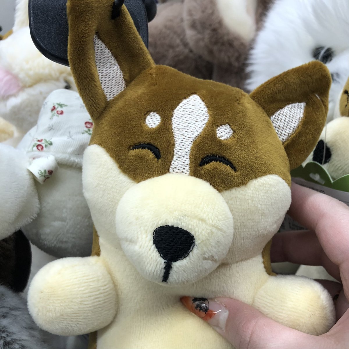Juli_Tokyo's tweet photo. Choi San , I found you
#ATEEZ #Choisan @ATEEZofficial https://t.co/P1ZvuT8rjv
