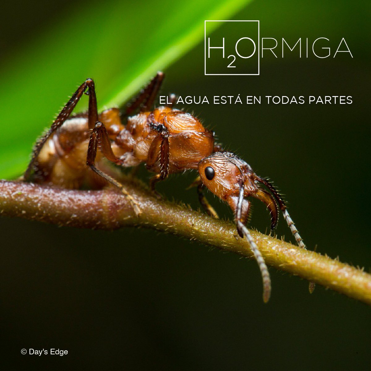 mcarvajal28's tweet photo. es la riqueza que debemos proteger #aH2Ora @WWFColombia @tfa_Global @JuanKarloslos https://t.co/oEKFNmYzxs