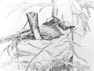 Merilyn Simonds tweet media