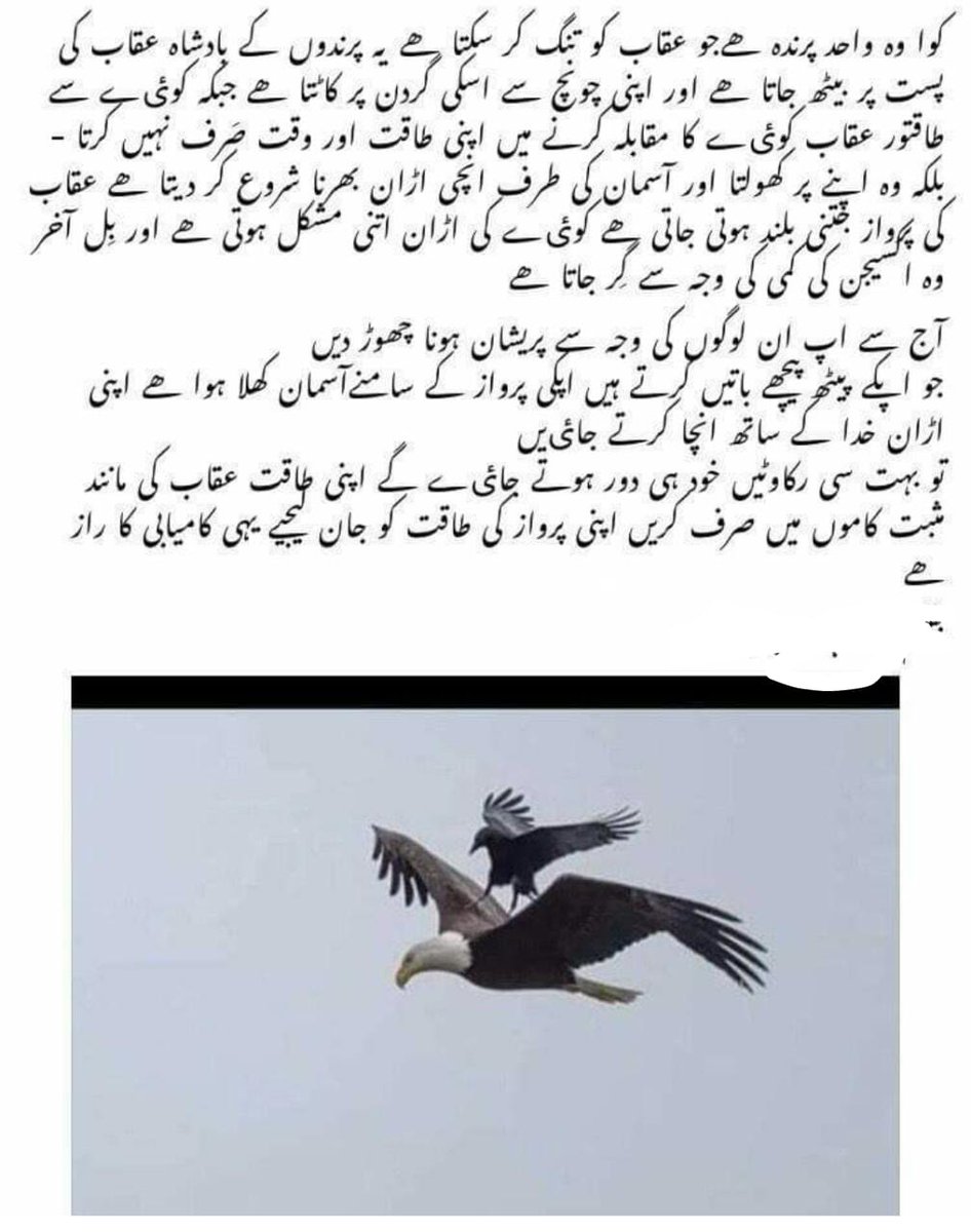 nabeer_mir's tweet photo. سہنری باتیں 💟
آپ لوگ کیا کہتے ہیں؟ https://t.co/rsqi63wRxc