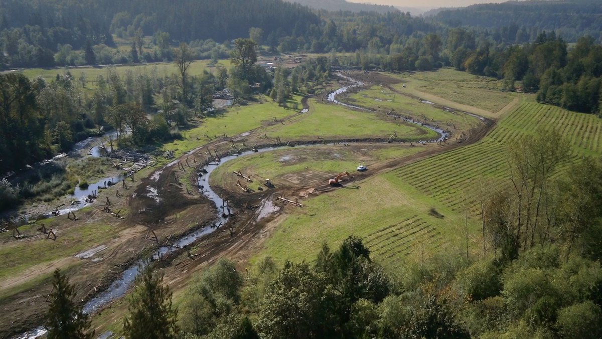 Conserve_WA's tweet photo. Well worth the watch! A beautiful video sharing a real-life example of how #ConservationWorks in @PierceCo <3
@PSPartnership @EcologyWA @RyanMelloTacoma @Puyallup_Tribe @WDFW #FloodplainFriday
Watch here---> https://t.co/tfvYHsOELz https://t.co/D6UT9AySpw