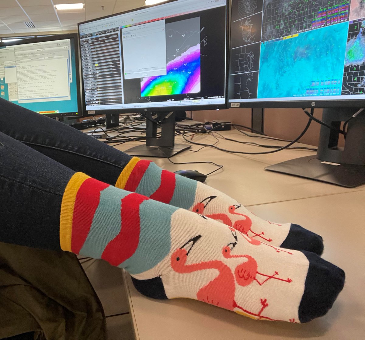 Today we're forecasting wearing silly socks to celebrate the unique talents & abilities that individuals with Down syndrome offer our world! And with a rather wet forecast ahead, the flamingo 🧦
seemed appropriate... 
#WorldDownSyndromeDay #LotsOfSocks4DSI