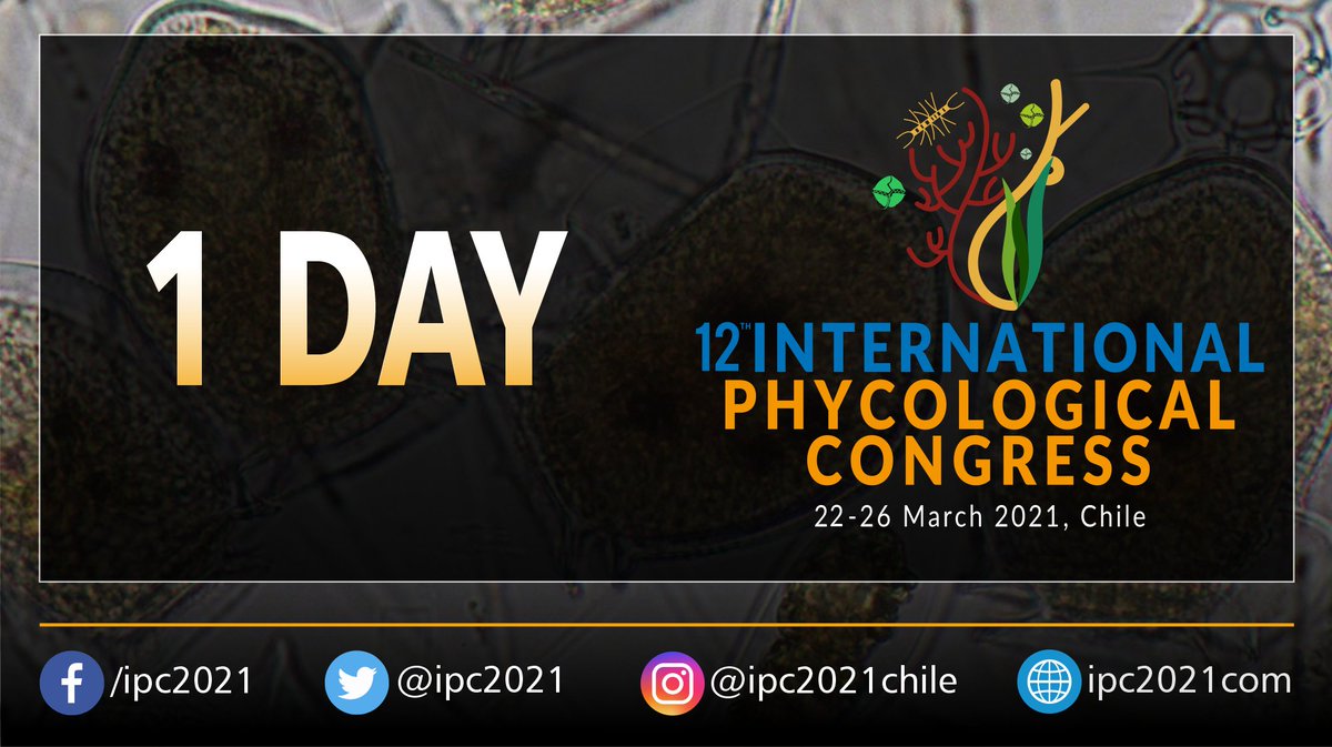 12th International Phycological Congress #IPC2021, Chile 🇨🇱.
▶️1 day to go🤗🤗!
See you all tomorrow at the Opening Ceremony 10 h. ⏲️Chilean Time (GMT-3).
.
#Chile #alga #seaweed #algaltechnology #microalgae #algae #algas #ficologia #phycology