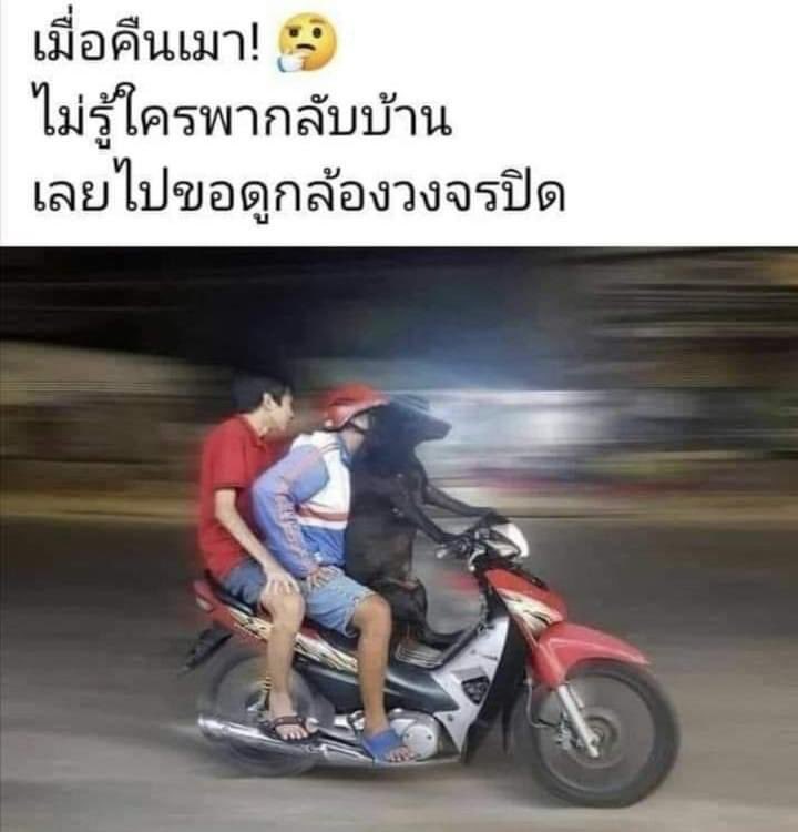 5555555555555555555 เห็นตัวเอง
