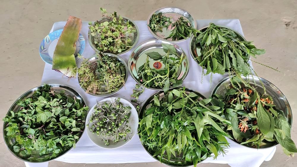 bem_hidang's tweet photo. #PoshanPakhwada2021 
 Awareness on the importance of Medicinal plants found in Manipur during "Celebration of Poshan Pakhwada 2021" orgd by #AnganwadiDidi Sector19 
#ICDS Imphal East-I 
#Manipur @MinistryWCD @POSHAN_Official @moayush @NBirenSingh @NgangomU @BanteeKonthouj1 https://t.co/fHKOVvtPpn