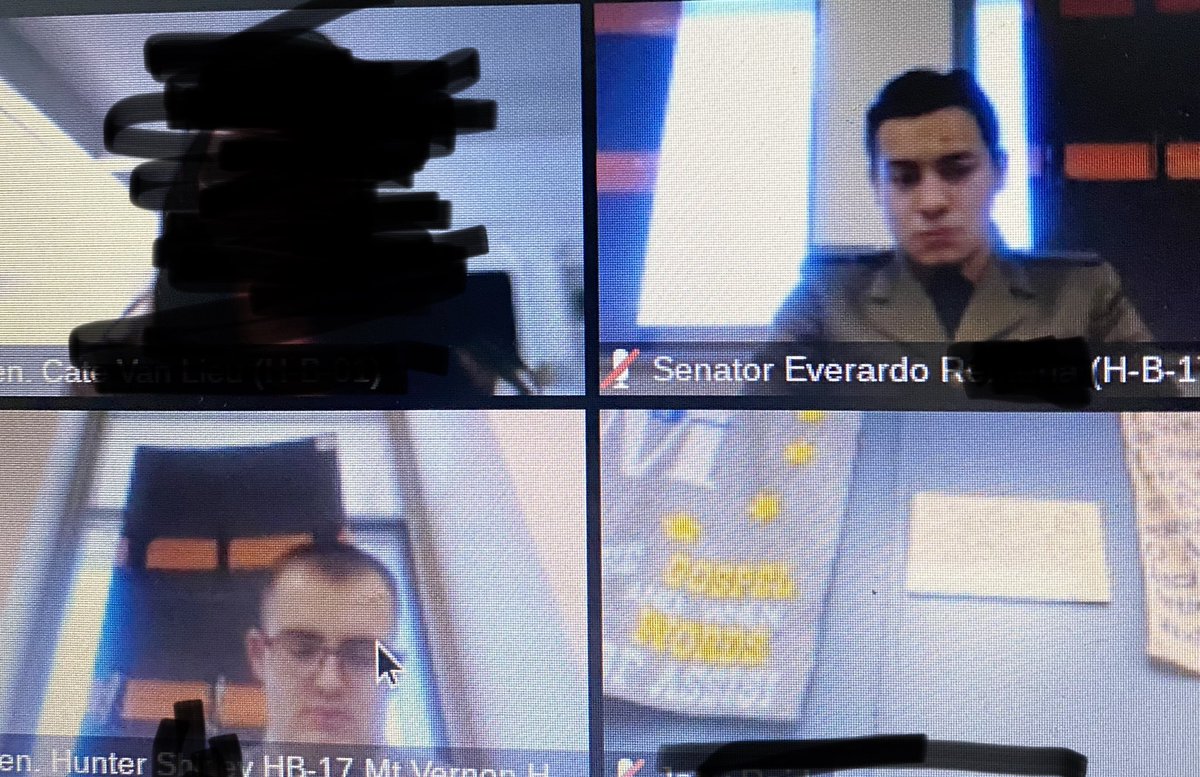We usually try to get a picture of the students in the chambers, so here are shots from their Zoom meeting.