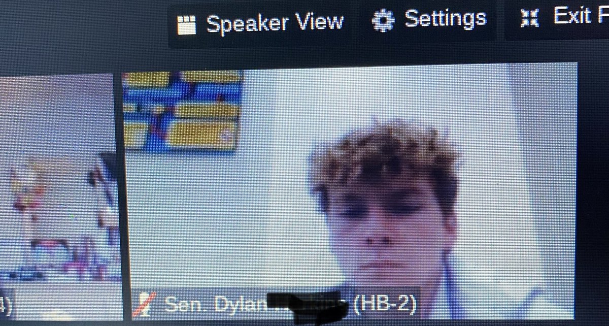 mv_yg's tweet photo. We usually try to get a picture of the students in the chambers, so here are shots from their Zoom meeting. https://t.co/E9e9yJsV4x