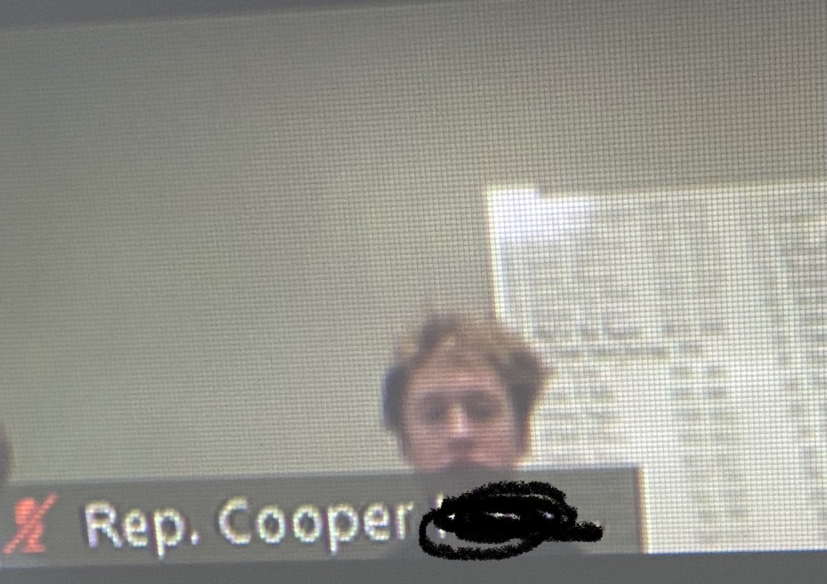 We usually try to get a picture of the students in the chambers, so here are shots from their Zoom meeting