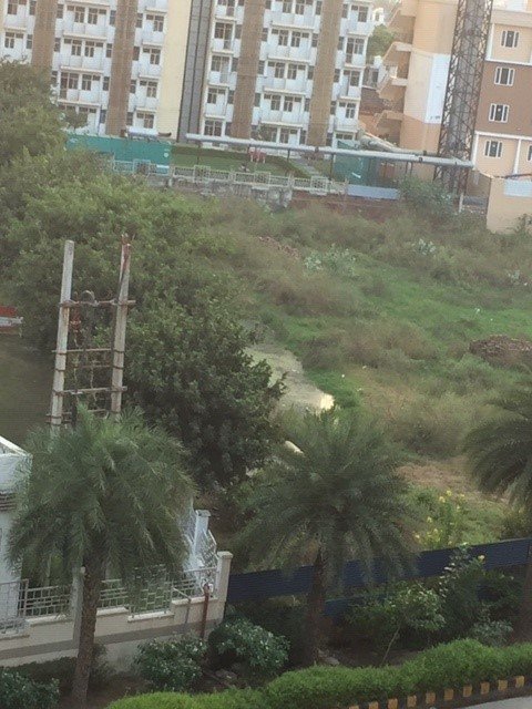 rwa_85's tweet photo. @CPCB_OFFICIAL @hspcbrogrs @HspcbS  Orris Carnation Sector 85 , maintanence agency continuously flouting Norms in Discharge of STP water in adjacent plot specially in Night . Creating lot of Stagnant water bodies for Mosquitos and lot of dirty smell in Society . https://t.co/rp1nmq21qu