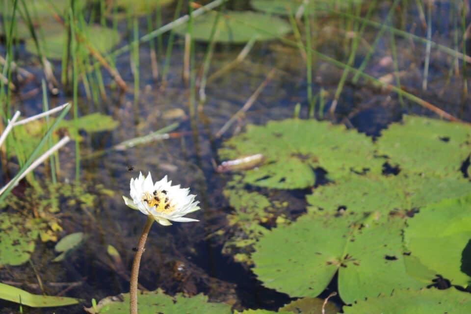 EnjoyRuta's tweet photo. Primavera https://t.co/5lUhAYZeNU