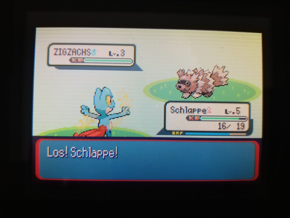 L0WIE__'s tweet photo. Shiny Treecko/Geckarbor after 3,255 SR's 🌟🍃 Shiny DTQ (1/7) #GBAWeek #GBAWeek2021 #shunten #shinypokemon #shinylivingdex #pokemonsapphire #shiny #treecko https://t.co/eUv95U6fgM
