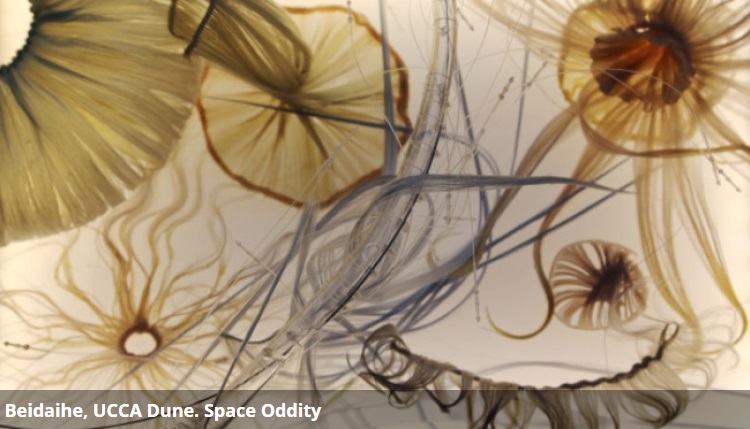 POSTINTERFACE's tweet photo. [exhibition] 🔴 In UCCA Dune’s first exhibition in 2021, twelve Chinese and international artists search for hope in a weary world and reimagine paradigms for future human civilization with planetary perspectives.
https://t.co/qrE6vZbC96 https://t.co/5q1g5s8A4K