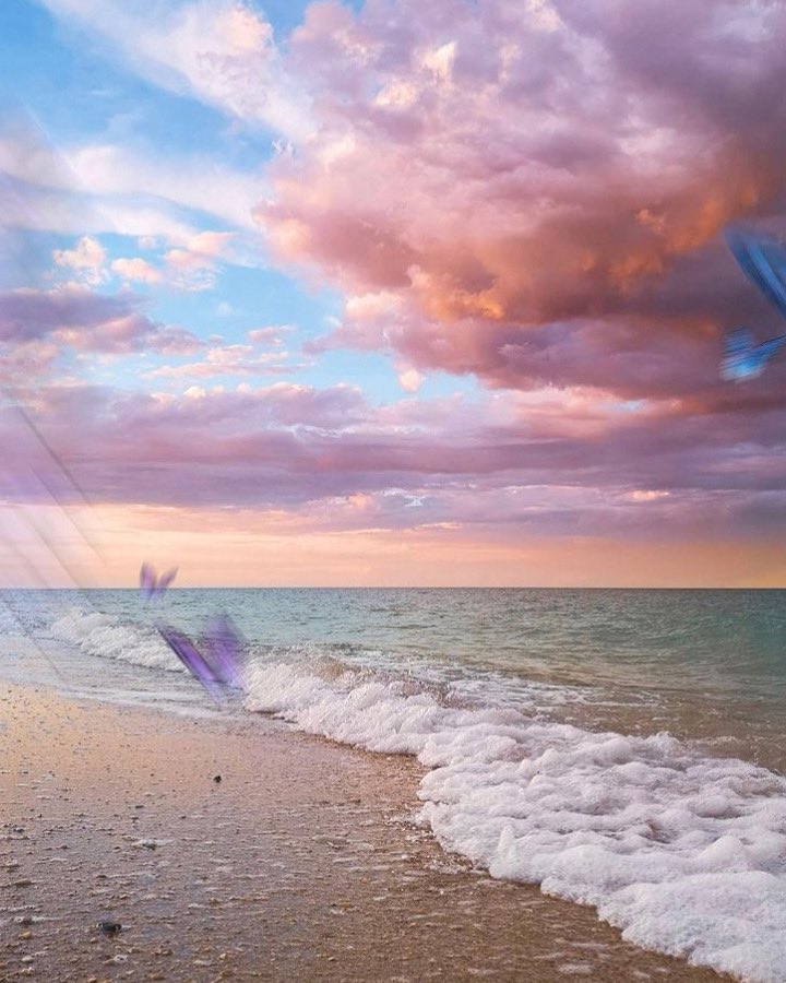 ilovgoldenari's tweet photo. Free🦋7h15 https://t.co/6LP0EWpKxh